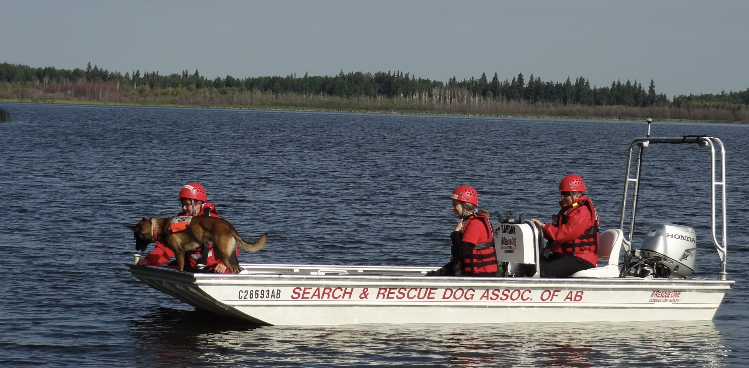 Search and Rescue Dog Association of Alberta